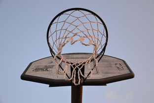 乐鱼体育-NBA联盟篮球文化传播及其全球影响,nba球队文化