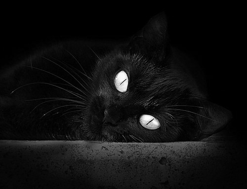 乐鱼体育app入口-后备人才储备成俱乐部长远发展的生命线，后备人才储备计划