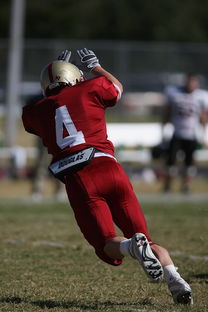 乐鱼体育官网-CBA赛季转会期开放多支球队进行大规模阵容调整，cba转会动态2021